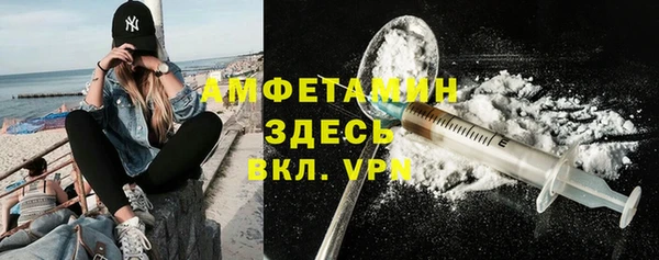 индика Алексин