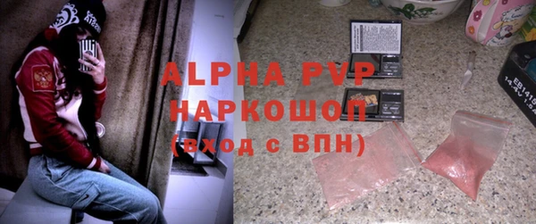 индика Алексин
