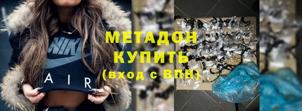 индика Алексин