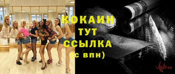 индика Алексин