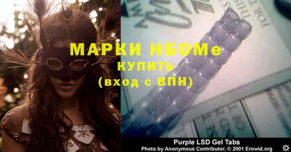 индика Алексин