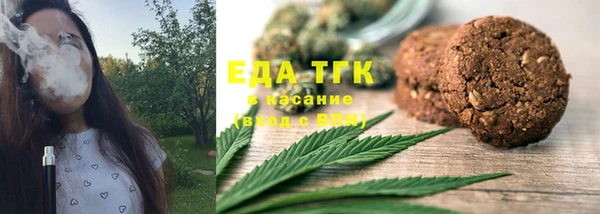 индика Алексин