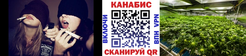 Шишки марихуана тримм darknet телеграм KRAKEN ONION Ленинск как найти наркотики